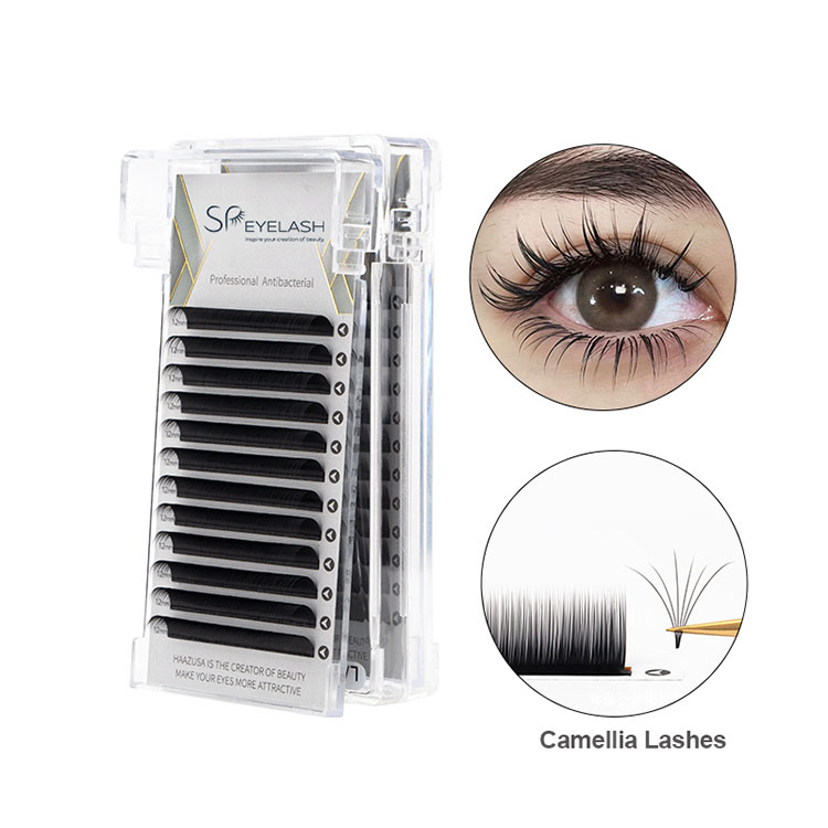 0,07 Camellia Lash
