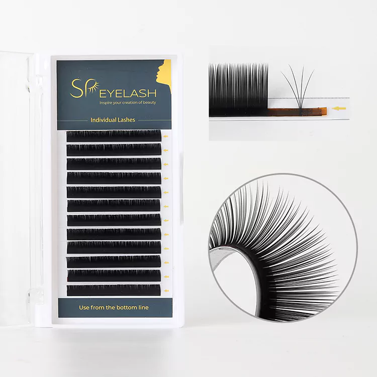Prodloužení Camellia Lash